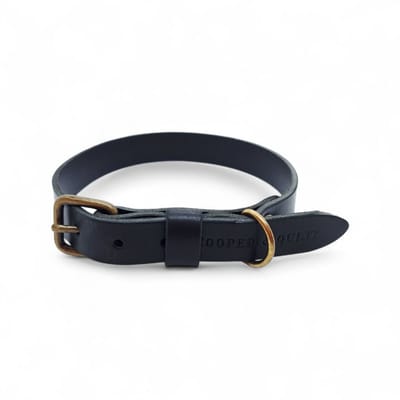 Cooper & Quint No Fuss - Halsband Hond Leer - Zwart - Oud Messing- Small