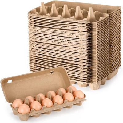 Eierdozen Karton - Opslag Bakjes - Eieren Bewaren - Verstevigd Ontwerp - 20 Stuks - Wit