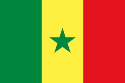 Vlag Senegal 300x450cm