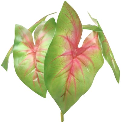 Kunstcaladium zesbladige groen/roze kunstplant zoals echt!