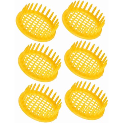 6 Pièces Boîte d'Élevage de Reine Cellule Équipement d'Apiculture yellow