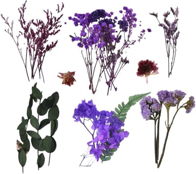 Gedroogde Bloemen - Natuurlijke Decoratie - Huis en Tuin - Authentieke Botanische Materialen - 10 Soorten - Willekeurige Kleuren