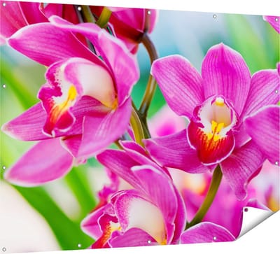 Gards Tuinposter Licht Paarse Orchidee Bloemen - 160x120 cm - Tuindoek - Tuindecoratie - Wanddecoratie buiten - Tuinschilderij
