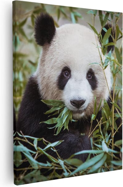 Artaza Canvas Schilderij Dieren - 40x50 cm - Wanddecoratie Panda - Muurdecoratie Jungle - Kamer Accessoires