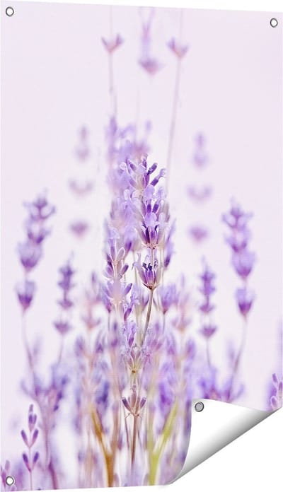 Gards Tuinposter Paarse Lavendel Bloemen - 60x90 cm - Tuindoek - Tuindecoratie - Wanddecoratie buiten - Tuinschilderij