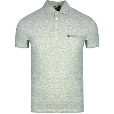 Aquascutum Unisex Volwassen Aldis Block Logo Polo Shirt (Grijs)