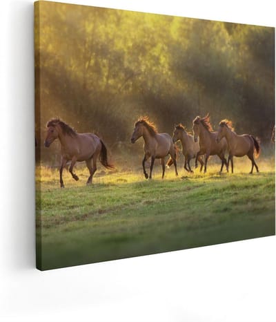 Artaza Canvas Schilderij Paarden - 100x80 cm - Groot - Wanddecoratie Dieren - Muurdecoratie Woonkamer - Kamer Accessoires Natuur