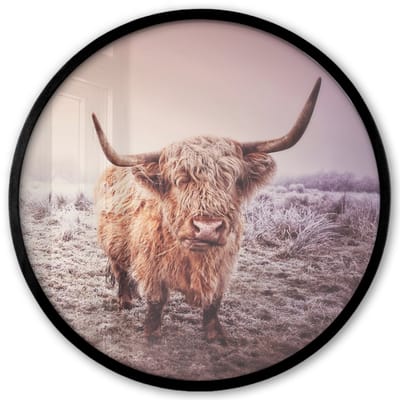 Poster in lijst Rond - Fotolijst 40x40 cm - Posters - Schotse hooglanders - Licht - Lucht - Natuur - Ronde posterlijst zwart - Decoratie - Wanddecoratie woonkamer - Muurdecoratie slaapkamer
