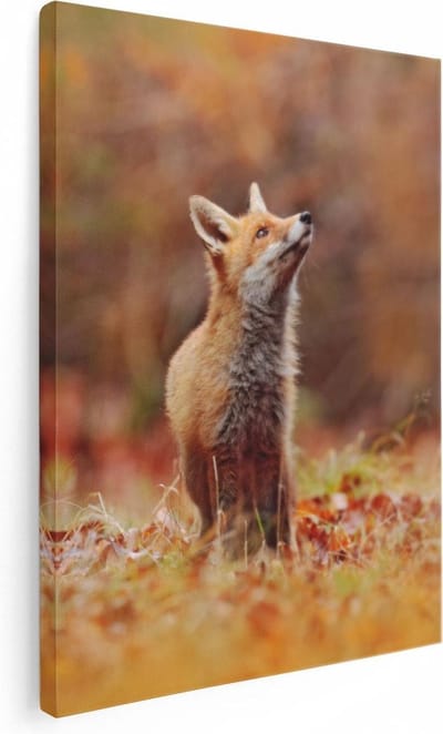 Artaza Canvas Schilderij Vos - 30x40 cm - Klein - Muurdecoratie Dieren - Wanddecoratie Bos - Schilderijen Op Canvas
