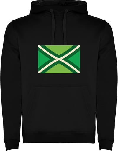 Zwarte hoodie met de Vlag van de Achterhoek - Strak - Maat M