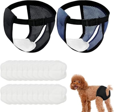 Set van 2 hondenbroeken maat L met 20 herbruikbare hygiënische doeken, wasbare luiers voor honden, ideaal voor zindelijkheidstraining en bescherming tegen ongelukjes