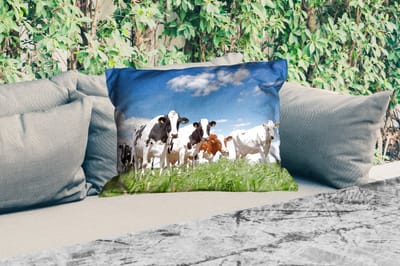 Buitenkussens - Koeien - Platteland - Weiland - Natuur - Dieren - 60x40 cm - Weerbestendig