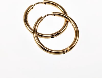 ∅20mm x 2,5mm Oorringen Unisex - Stalen Goudkleur - Ronde Oorbellen
