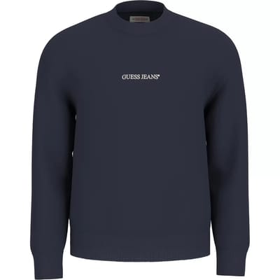 blauwe man geborduurde trui