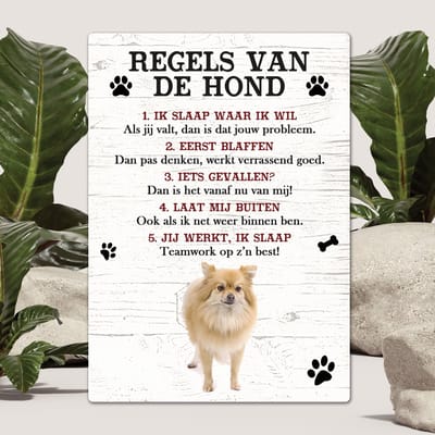 Spreuken - Keeshond - Regels Van De Hond - Spreuken Bordjes - Spreukenbord - Tekstborden - Cadeau - Hondenras