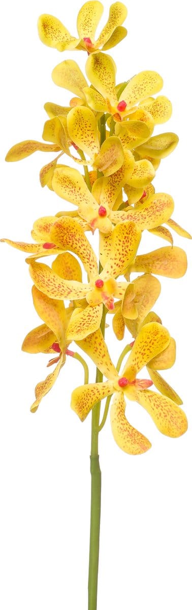 Emerald - Kunstbloem Vanda RT 80cm geel - Kunstplant voor binnen