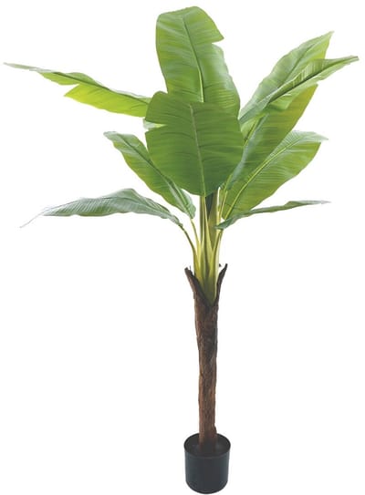 HomeBound by KY | Kunstplant bananenboom 180cm | kunstplant
