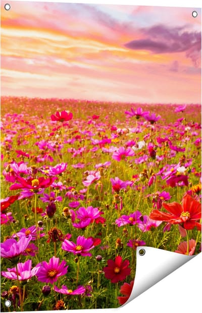 Gards Tuinposter Kleurrijke Kosmos Bloemenveld - 60x80 cm - Tuindoek - Tuindecoratie - Wanddecoratie buiten - Tuinschilderij