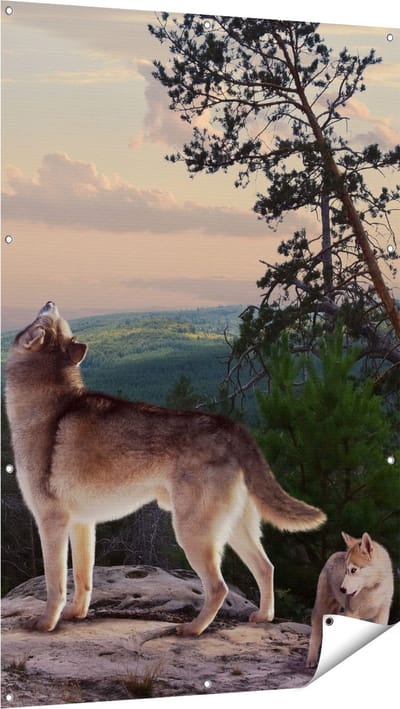 Gards Tuinposter Drie Wolven op een Rots in het Bos - 100x150 cm - Tuindoek - Tuindecoratie - Wanddecoratie buiten - Tuinschilderij