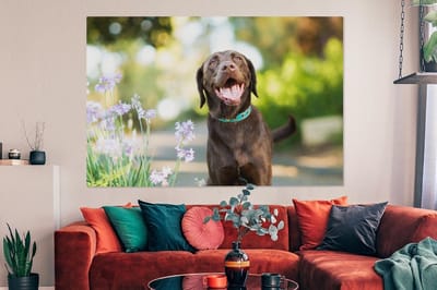 Canvas schilderij 150x100 cm - Wanddecoratie Een Labrador Retriever met mooie bloemen - Muurdecoratie woonkamer - Slaapkamer decoratie - Kamer accessoires - Schilderijen