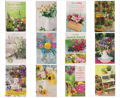 12 Luxe Verschillende Wenskaarten 6x Bloemen Hartelijk Gefeliciteerd 6x Blanco kaarten - Gratis verzonden - 2026-13