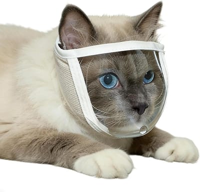 Kattenmuilkorf - Kattenkap - Nagel trimmen - Transparant en ademend - Maat Medium - Wit