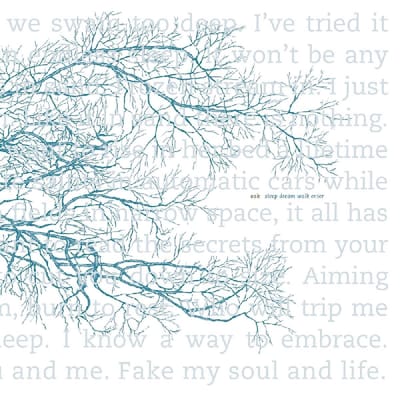 Oak - Sleep Dream Walk Enter (LP)
