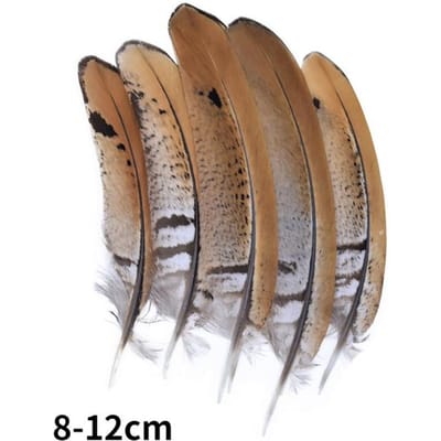 Natuurlijke fazantenveren, pauwenveer, kleine pluim van adelaar, handgemaakte accessoires, sieradencreatie, vakantiedecoratie 20Pcs