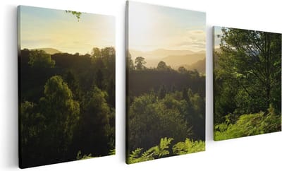 Artaza Canvas Schilderij Drieluik Zonsondergang Vanuit Een Bos - 120x60 - Foto Op Canvas - Canvas Print