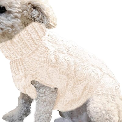 Winter hondenkleding Warme jas Kleine hondenkleding Hondenjas Puppy-outfit Chihuahua-jas M