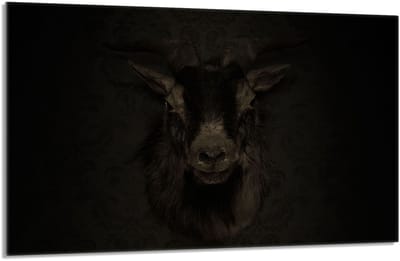 TMK ArtDeko - Snijplank - 80x52 cm - Veilig - Elegant