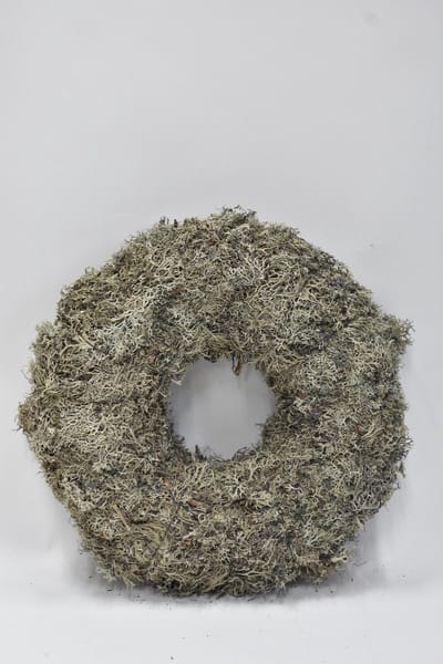 Couronne krans Mos Ø 45 cm grijs - Moskrans - Krans met boom mos / tree mos grey Ø 45 cm - Landelijk stoer sober robuust.