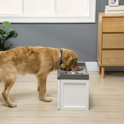 HAUSS SPOLE Voerbak – Verhoogd Dubbel Ontwerp Met Opberglade – 60 x 30 x 36 cm – Roestvrij Staal – Wit – Voor Grote Honden