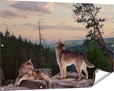Gards Tuinposter Drie Wolven op een Rots in het Bos - 120x80 cm - Tuindoek - Tuindecoratie - Wanddecoratie buiten - Tuinschilderij