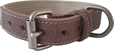 Animal Boulevard Ab30517 - Hals- En Leibanden - Hond - Ab Waxed Leather With Canvas Halsb. Bruin/beige-40mmx51-59cm - Maat: 40mmx51-59cm