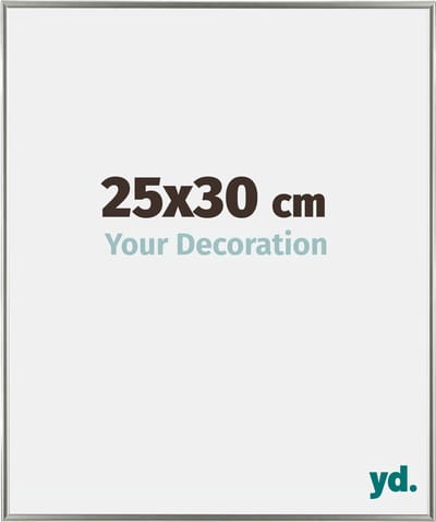 Your Decoration - Fotolijst 25x30 cm - Kunststof - Champagne - Evry