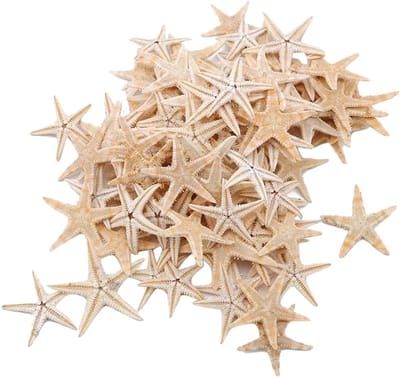 Natuurlijke Mini Zeesterren - Decoratieve Schelpen - Strand Huis Decoratie - 100 Stuks Set - 1-5 cm Variërend - Beige Geel