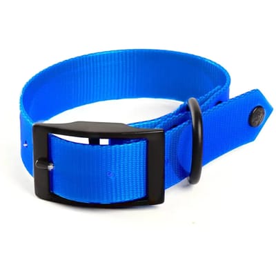 Fluo hondhalsband jacht Martin Sellier