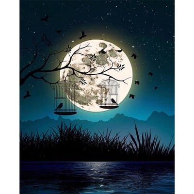 Diamant schilderij kruissteek set nacht maan landschap diamant ingelegd diamant borduurwerk 20X30CM white