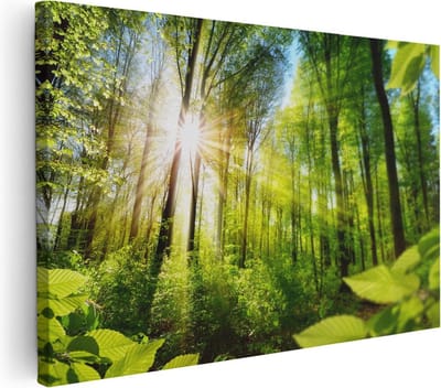 Artaza Canvas Schilderij Zon In Bos - 30x20 cm - Klein - Wanddecoratie Bomen - Muurdecoratie Landschap - Kamer Accessoires