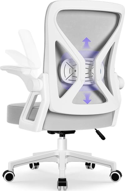 Hiaonyx Bureaustoel-Ergonomische bureaustoel-bureaustoelen voor volwassenen-Opklapbare armleuningen-Lendensteun-Verdikt en verbreed zitkussen-Grijs