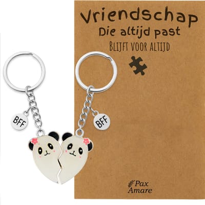 BFF Sleutelhanger voor 2 'Vriendschap die altijd past' - Magnetisch Hartje Panda's - Sleutelhanger set op Cadeau Kaartje - Zilverkleurig - Vriendschap Symbool - Pax Amare