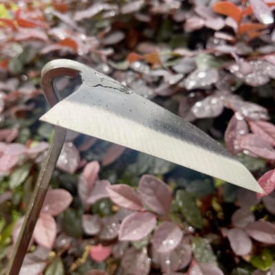 Tuin Sikkel met Lang Houten Handvat voor Onkruid Wieden - 30 cm Krom Blad