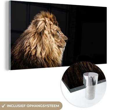 MuchoWow® Glasschilderij 40x20 cm - Schilderij acrylglas - Leeuwen - Profiel - Bruin - Foto op glas - Schilderijen