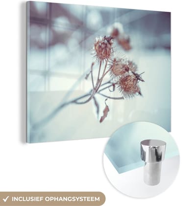 MuchoWow® Glasschilderij 40x30 cm - Schilderij acrylglas - Planten - Winter - Sneeuw - Natuur - Foto op glas - Schilderijen