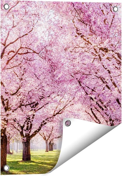 Gards Tuinposter Roze Bloesembomen Park - Bloemen - 40x50 cm - Tuindoek - Tuindecoratie - Wanddecoratie buiten - Tuinschilderij