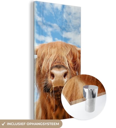 MuchoWow® Glasschilderij 20x40 cm - Schilderij acrylglas - Schotse Hooglander - Wolk - Dieren - Foto op glas - Schilderijen
