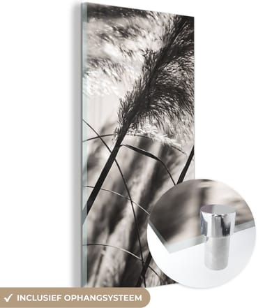 MuchoWow® Glasschilderij 20x40 cm - Schilderij acrylglas - Pampasgras - Zwart - Wit - Plant - Foto op glas - Schilderijen