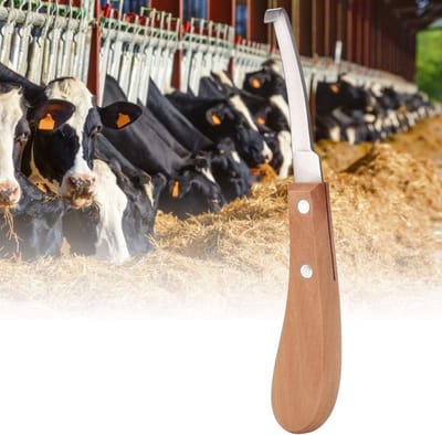 Rechthoekige hoefmes voor runderen en schapen - Eenvoudig te gebruiken, ideaal voor boerderijen en dierenverzorging