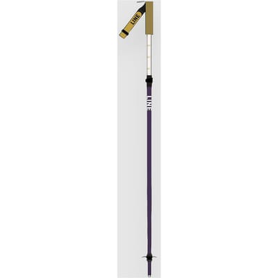 Line Paintbrush 2026 Ski Stokken patroon